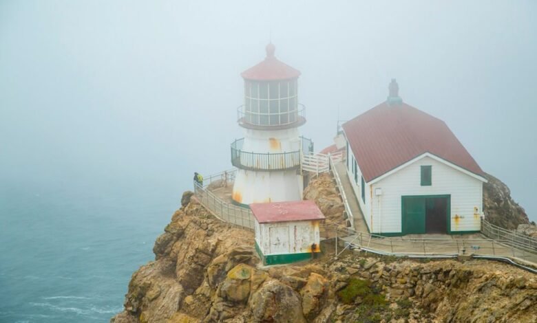 aris3 login guide udsm