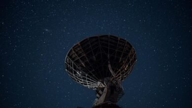 telecom agency contact numbers