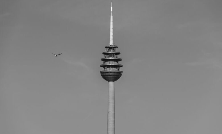 telecommunication fraud detection hotline