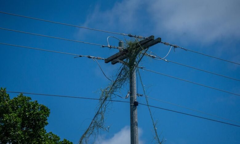 digital infrastructure for growth